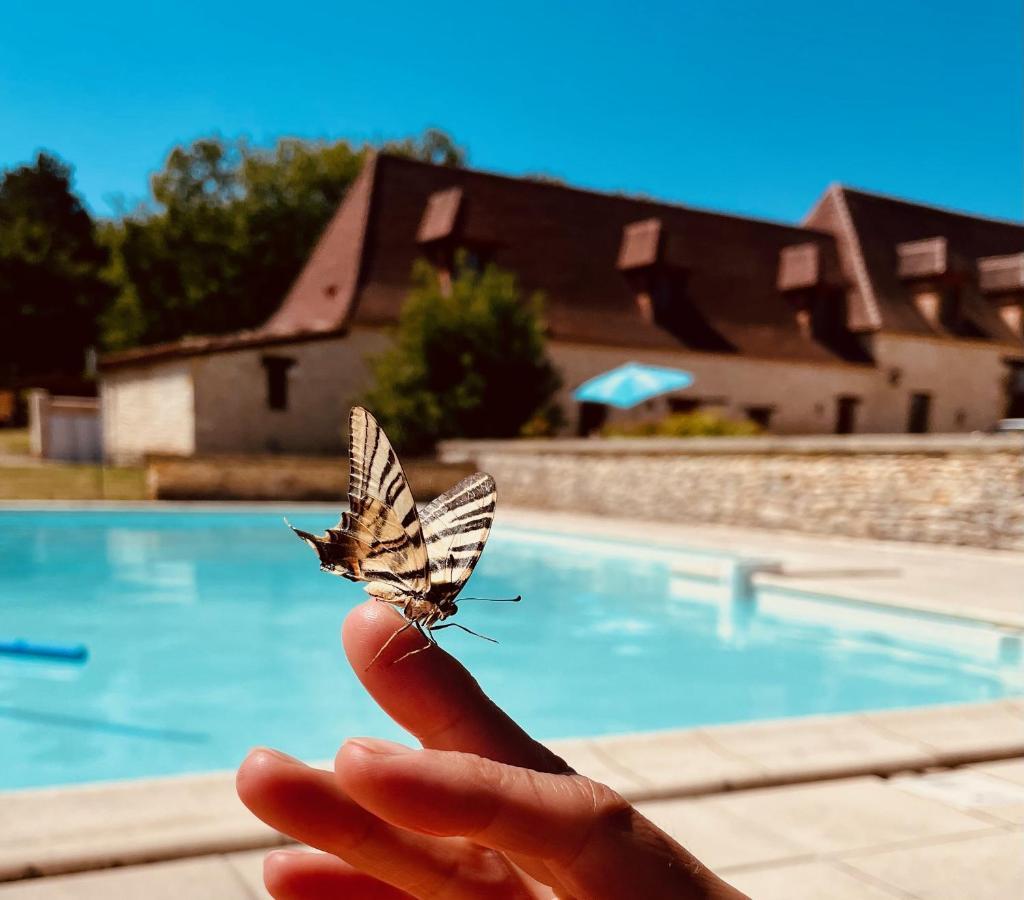 Gite Le Domaine De Camberoux Saint-Marcel-du-Périgord Εξωτερικό φωτογραφία