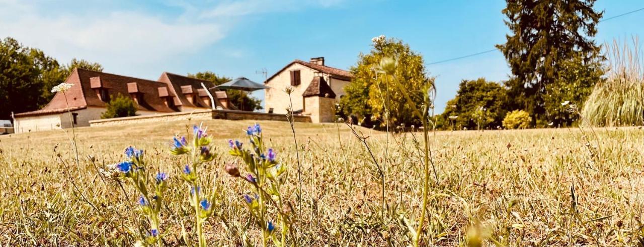 Gite Le Domaine De Camberoux Saint-Marcel-du-Périgord Εξωτερικό φωτογραφία